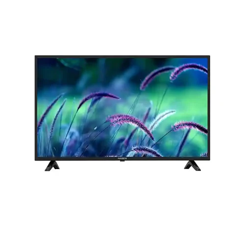 Nasco 24 Inches Digital Satellite TV